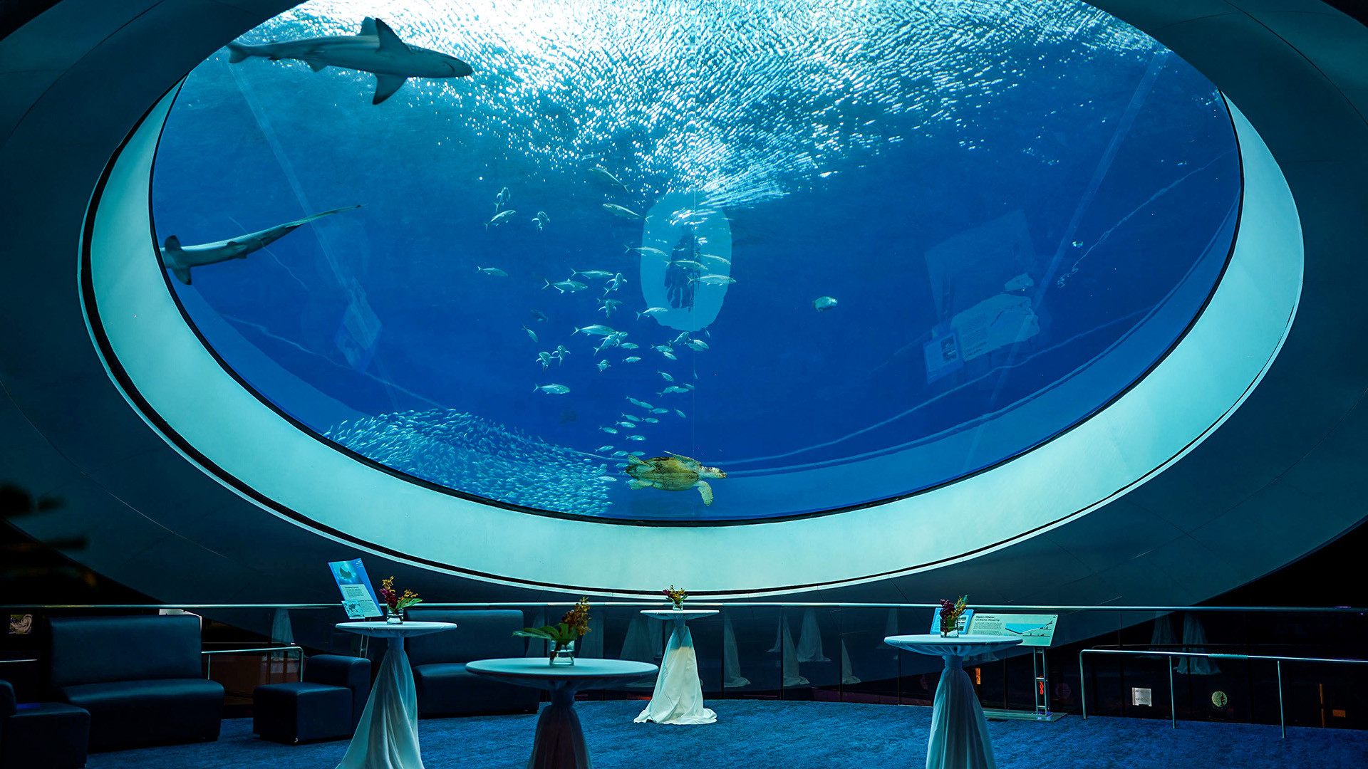 Frost Science Field Trip with Building Future Lab/Planetarium | Surf ...