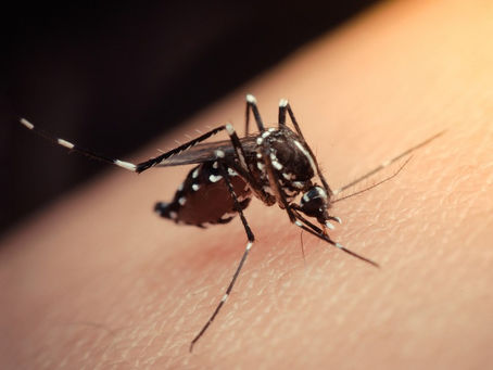 Os sintomas de dengue, chikungunya e zika