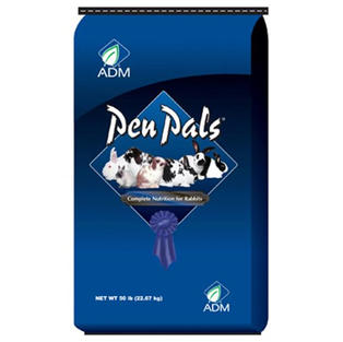 ADM Rabbit - PenPals Rabbit