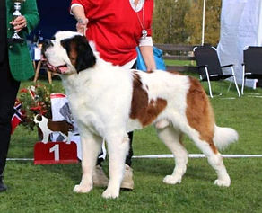 Messenger_creation_4EFDA1CC-3680-49A6-B564-A79D3D24E0B7_edited_edited.jpg