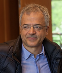 Giuseppe Civitarese