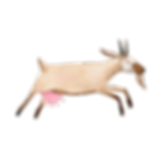 Untitled design (6).png