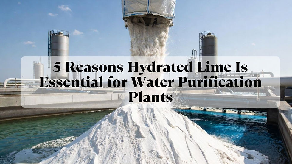 5 Reasons Hydrated Lime Is Essential for Water Purification Plants