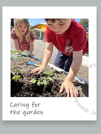 Prekinder02.jpg