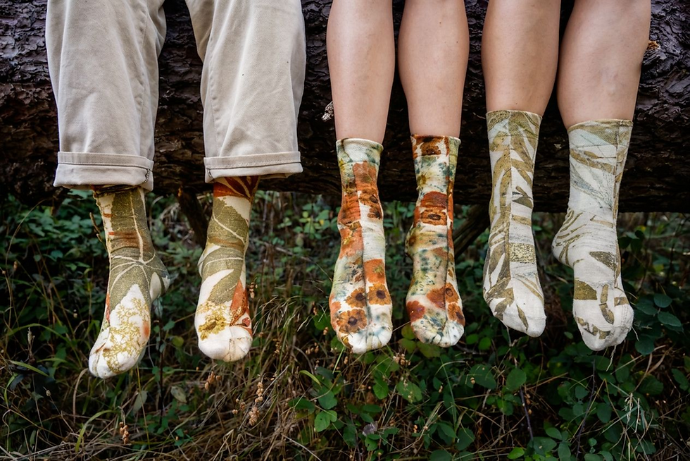 Thumbnail: Mordanted Socks