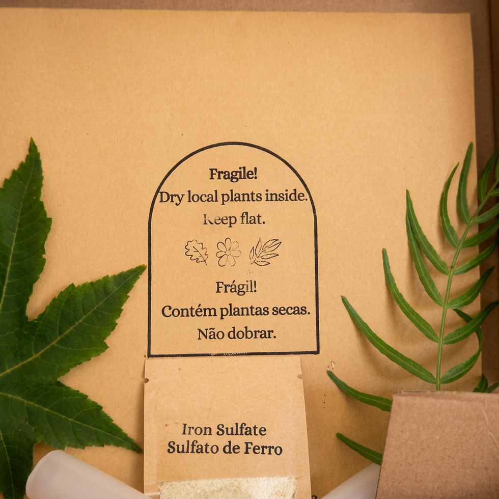 Thumbnail: Extended Eco Printing Kit - Premium Mordanted T-Shirt