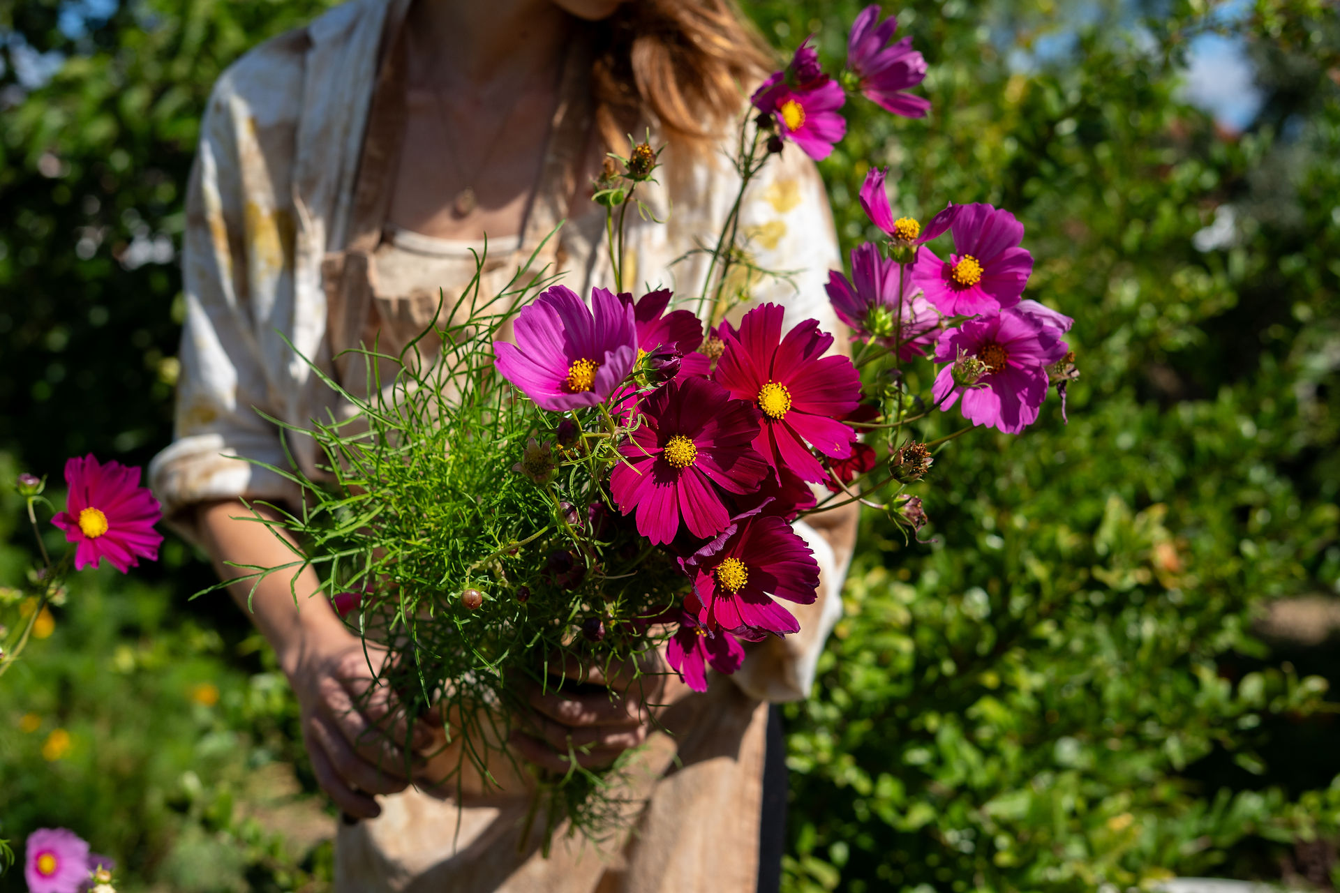 Annette holding pink cosmos flowers in her hands