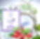 Miniaturbild: BIO SHAMPOO  VOLUMIZZANTE ANTICADUTA