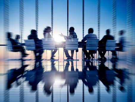2006-2007 Piccola Asked to Leave Two Insurance Boards as a Conflict of Interest