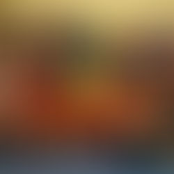 Unsere U12 Fußballer zeigten ihr Können in der Halle.