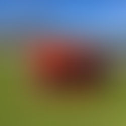 Auetaler Fußballer feiern 3 Siege in Folge.