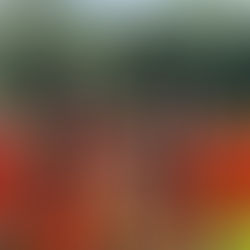 Rückblick und Neustart unserer Fußballer Jahrgang 2011.