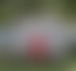 Die U17 der JSG Auetal/Brackel steht im Kreispokalfinale