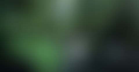 BE A BETTER CO₂MPANY