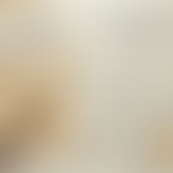 SA chapter event: SACE the Music