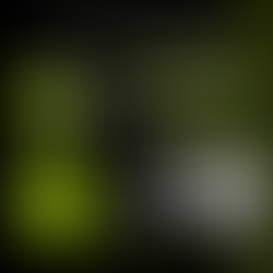 15 Aug 2021 | ONLINE | Ace Your VCE #2