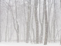 Winter Storm Hits Loveland, Ohio: What You Need to Know and Do