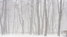 Winter is Here! Beware of the SNOW!