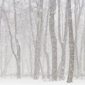 Cold Weather Is Snow Laughing Matter