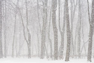Commercial Snow Removal & Control