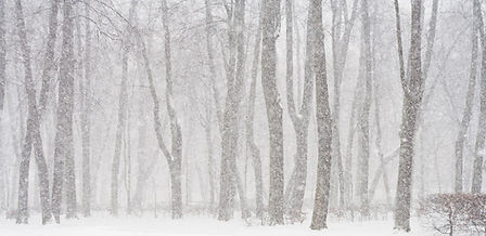 Gilpin, County, Sheriff, Emergency, Management, Snow, Blizzard