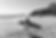 7S4A8117-Edit.JPG