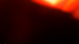 Wesite - bg.gif