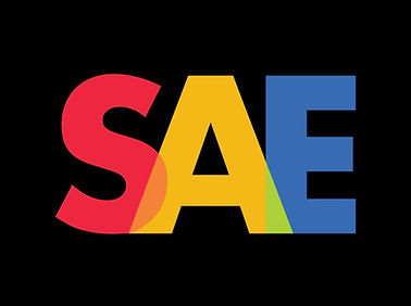 students for arts education logo