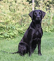 IMG_2708.jpeg