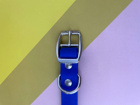 Choosing The Right Collar For Your Dog