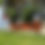 Thumbnail: Dia De Los Muertos "Abuela De Las Flores" Yard Decoration