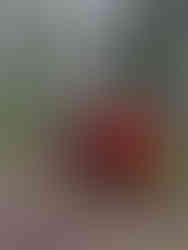 Image of Iris from behind, touching a large metal sculpture in a forest.