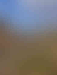 A view of Krødsherad landscape in Norway