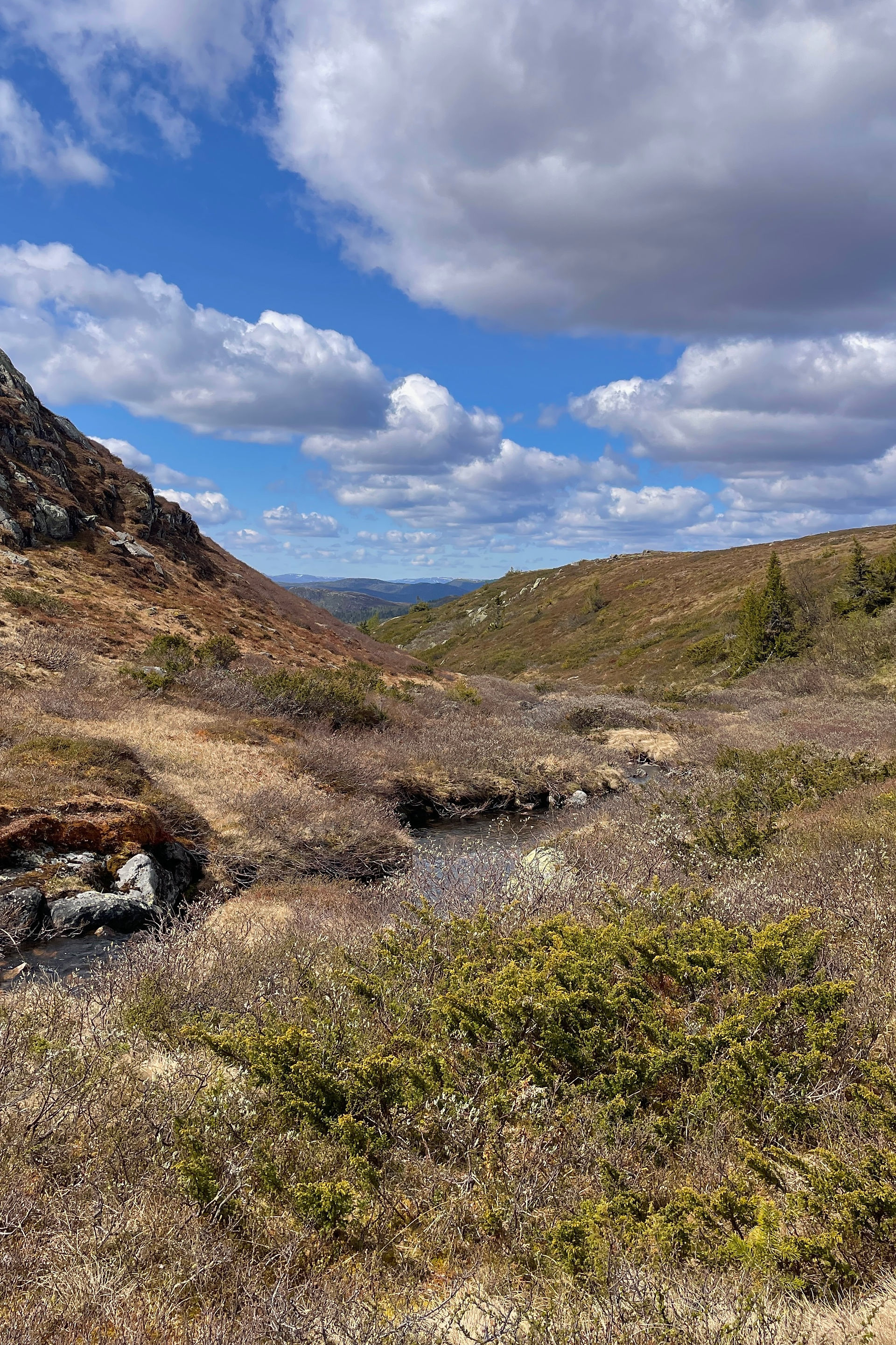 A view of Krødsherad landscape in Norway
