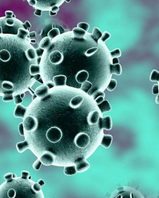 imagen-microscopica-del-coronavirus_1_64