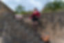 DSC08687.jpg