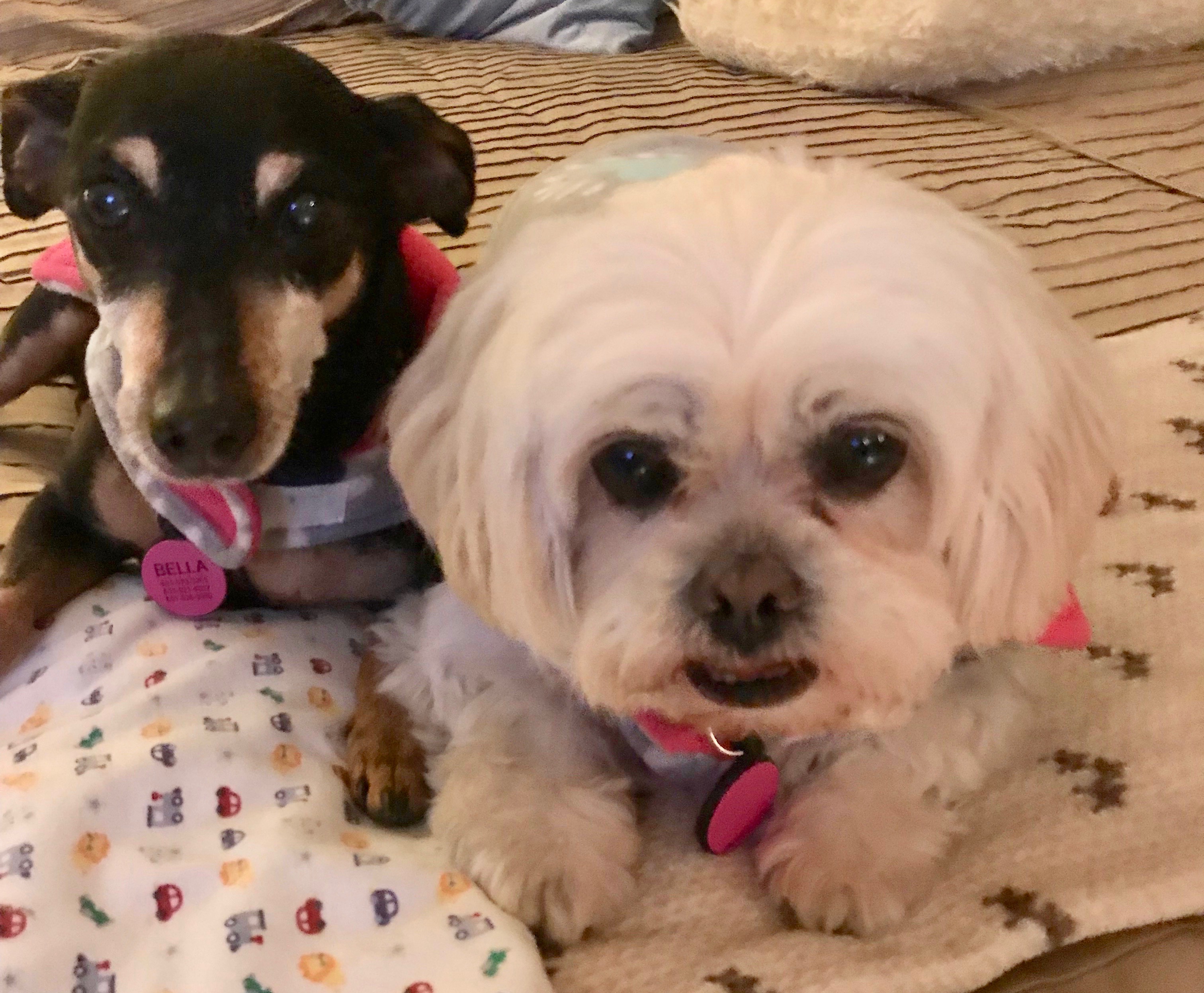 Bella and Daisy