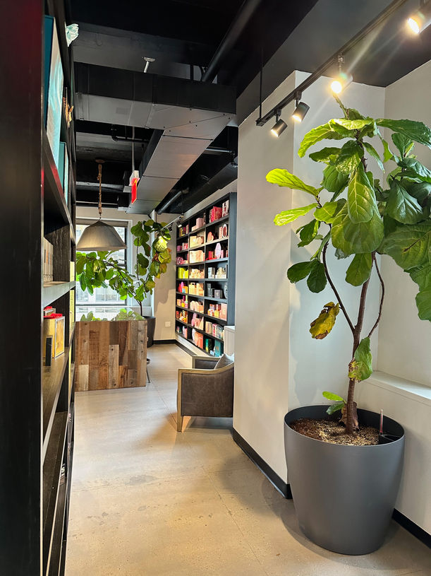 FOYER TO COMMERCIAL OFFICE