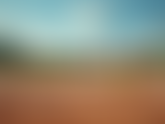 Join Sarasota Co-ed Softball Spring Season!