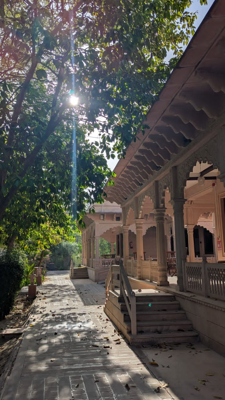 Bharatpur Diaries: Day 2 – Lassi, Maggi & The Road to Jaipur
