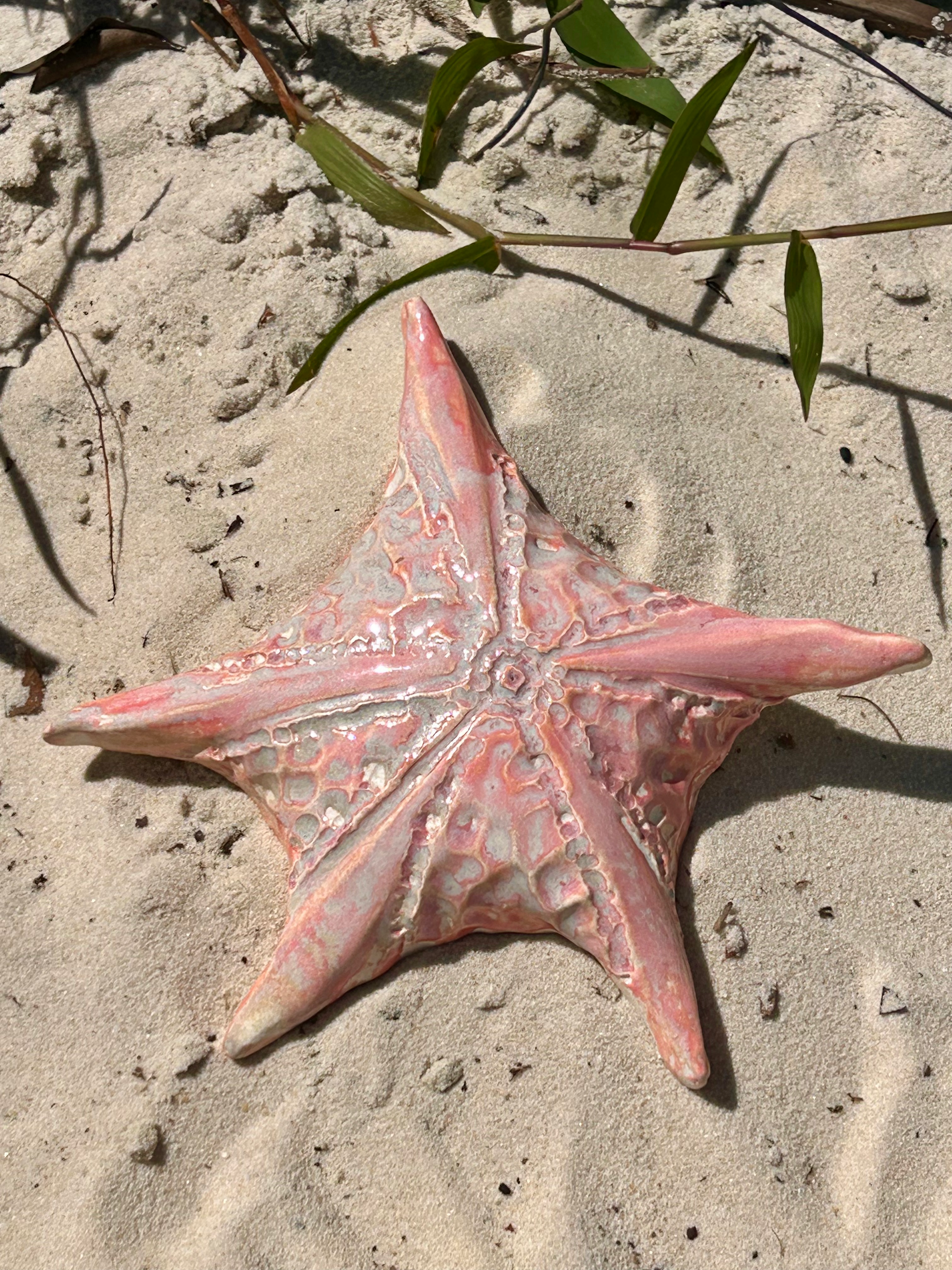 ESTRELA DO MAR Ref#25