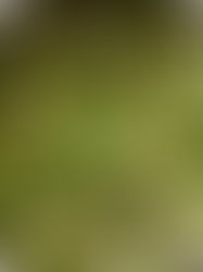 One-Pan Orzo with Spinach & Feta