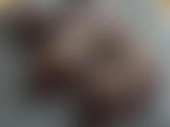 Died & Went to Heaven Chocolate Cake