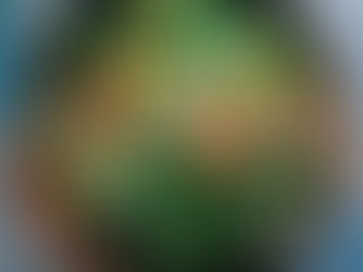 Tomato Green Bean Salad