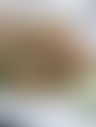 Tuna and White Bean Salad