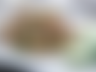 Tuna and White Bean Salad