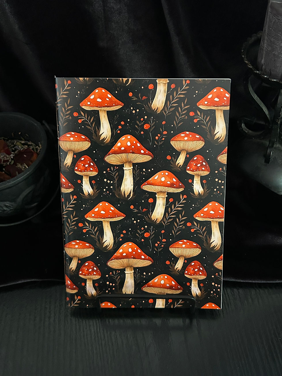 Thumbnail: Pocketbooks