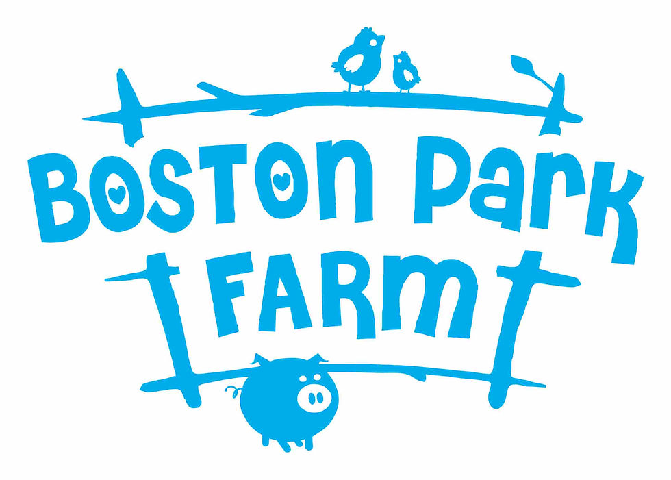 BOSTON PARK PARM-.jpg