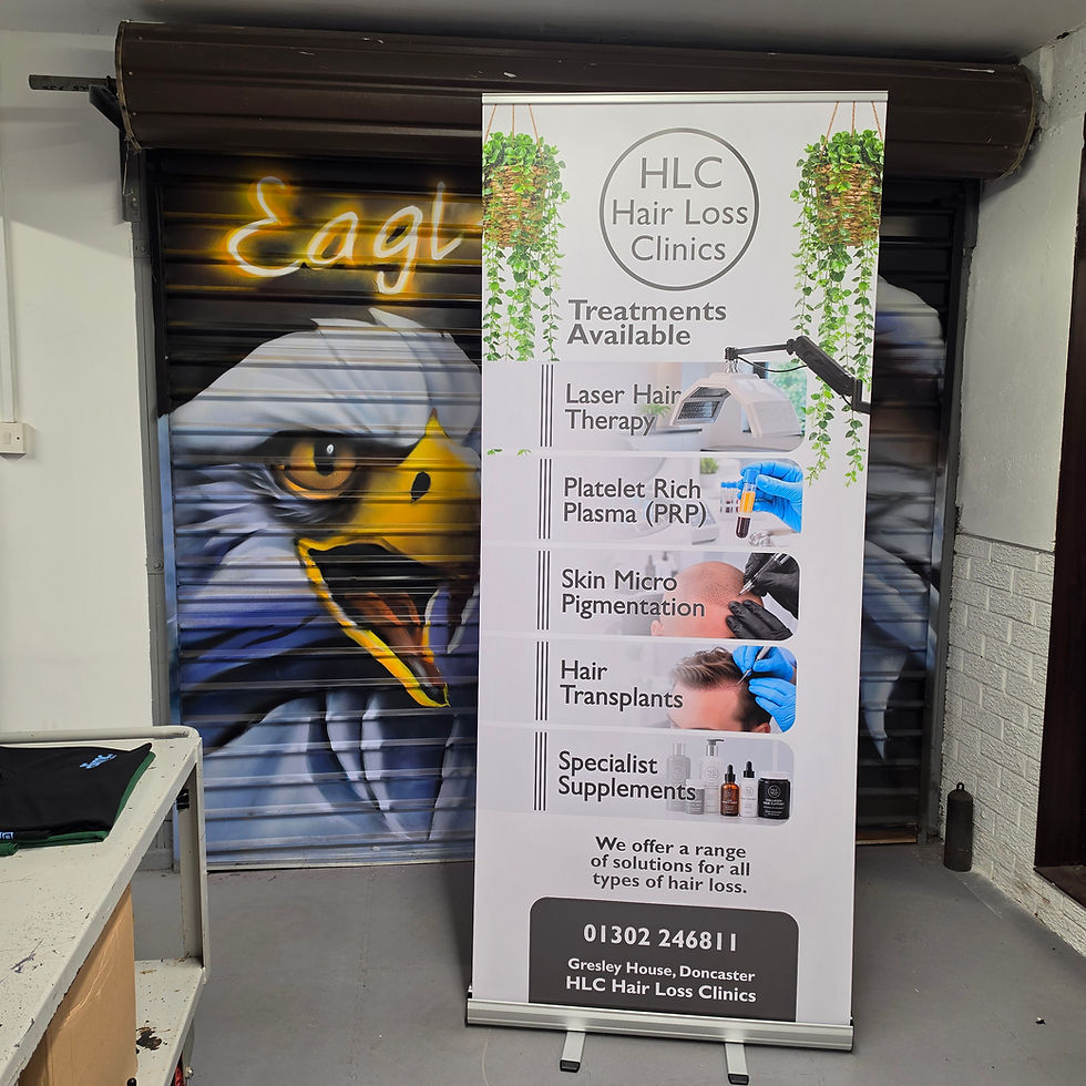850 x 2000mm roller banner.jpg
