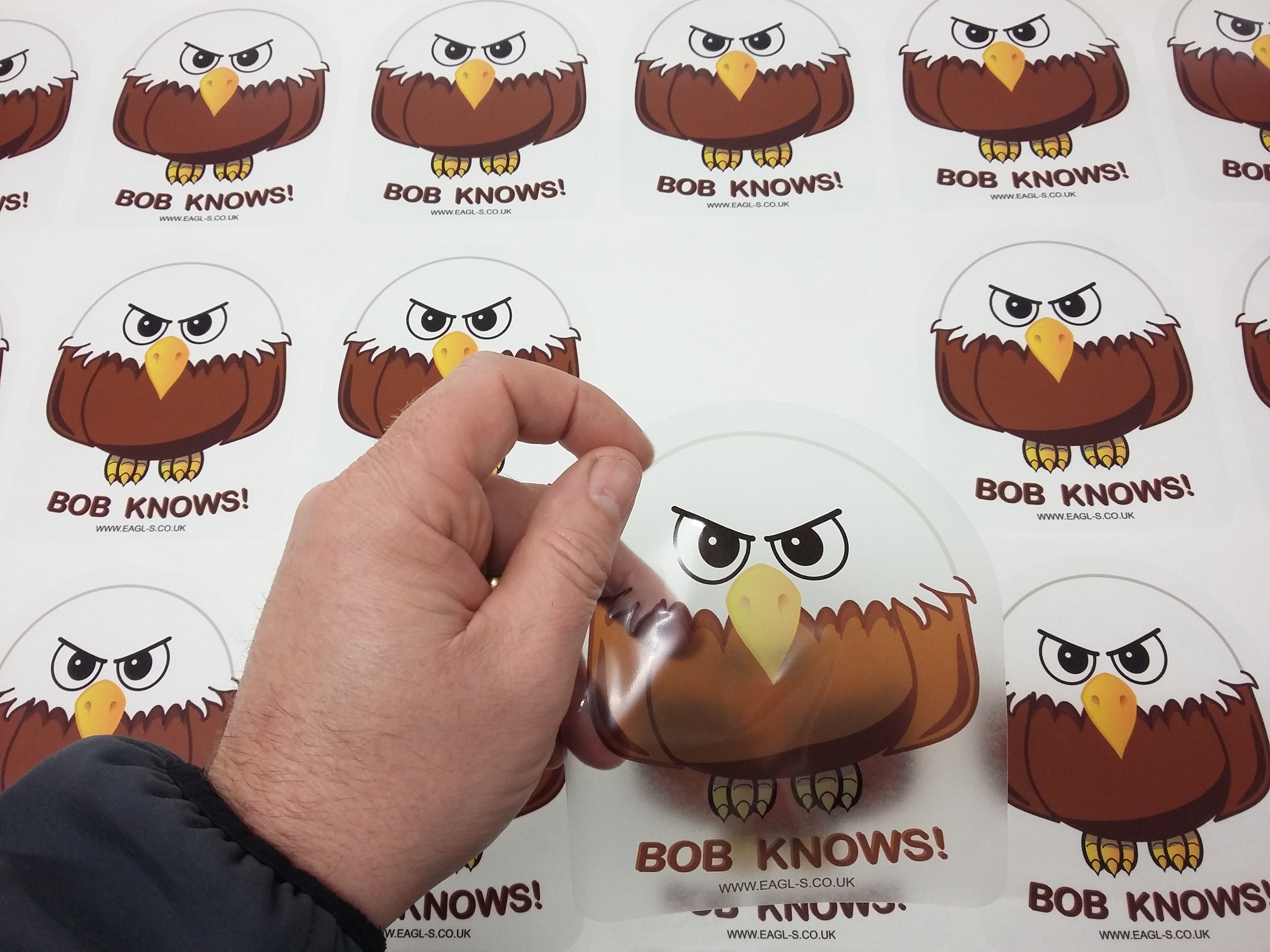 Clear vinyl stickers